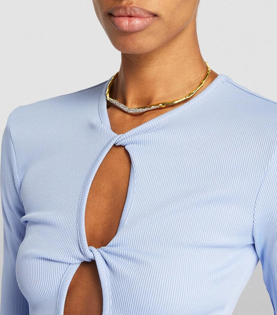 Alexis Bittar Gold-Plated Solanales Skinny Collar Necklace 4