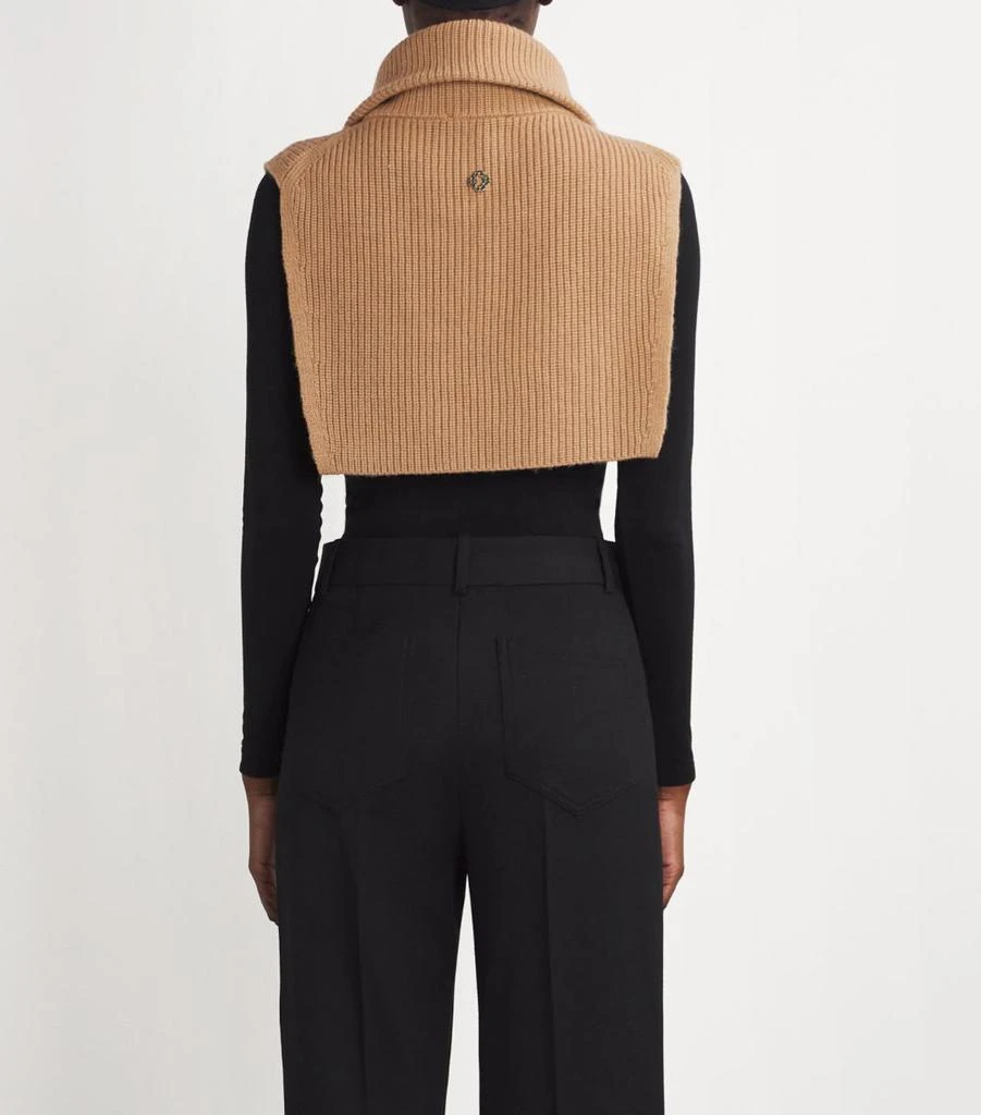 Maje Wool-Cashmere Zip-Up Neck Warmer 4