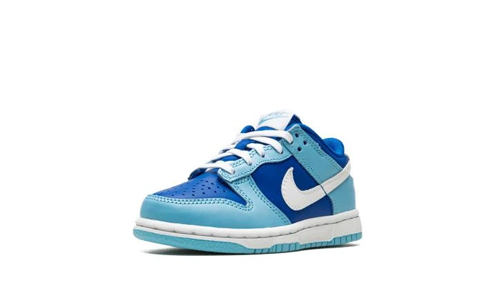 NIKE Nike Dunk Low 5