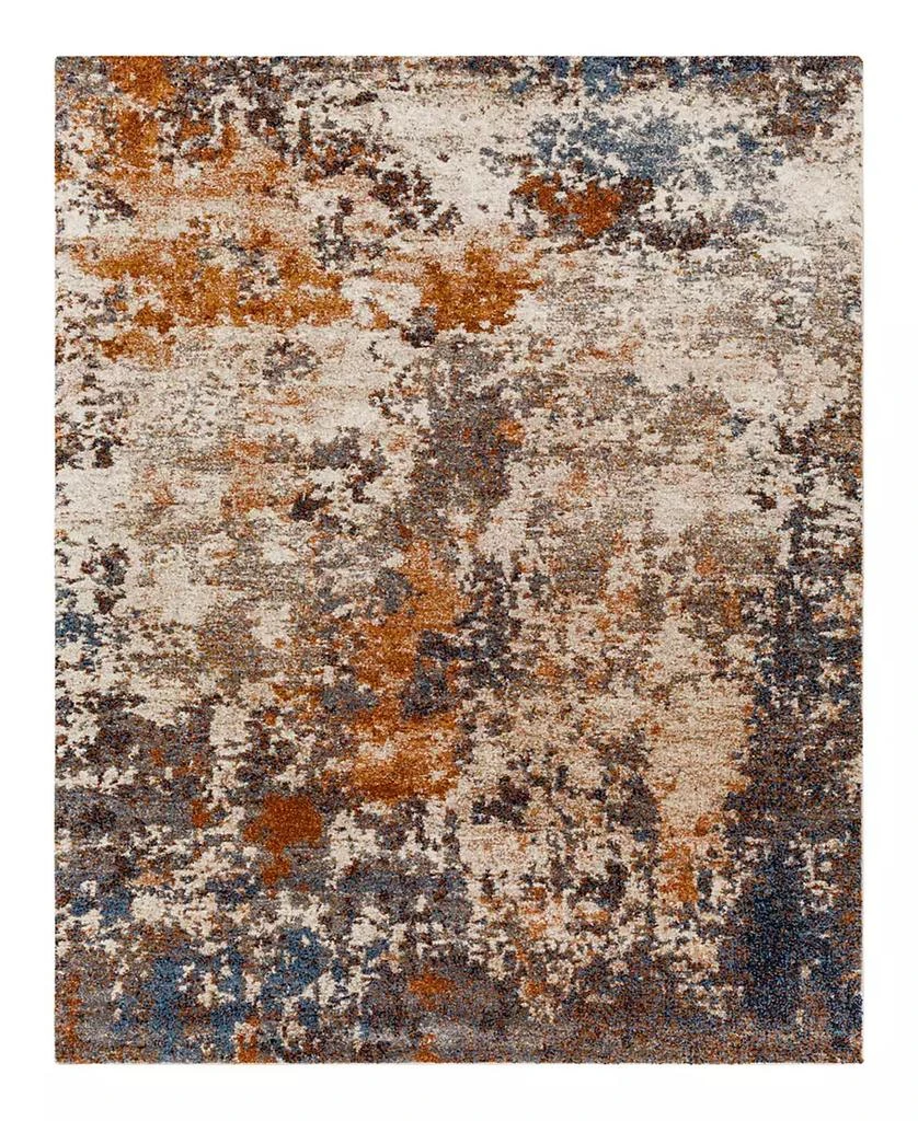 Surya Tuscany TUS-2328 4'3x5'7 Area Rug 1