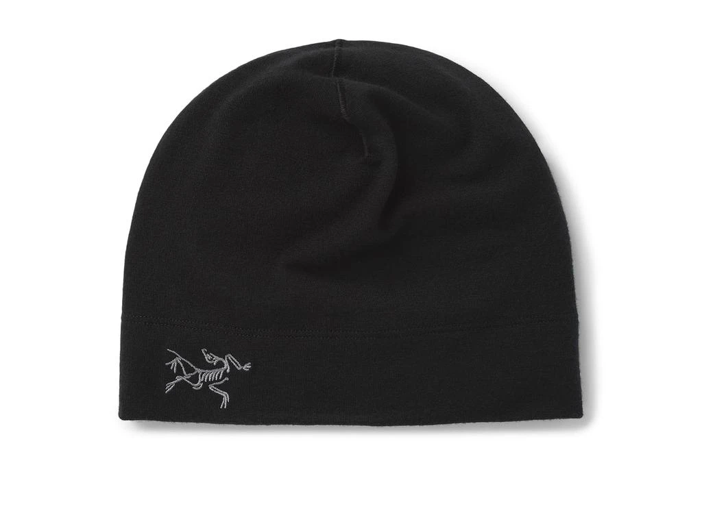 Arc'teryx Rho Lightweight Wool Toque 1