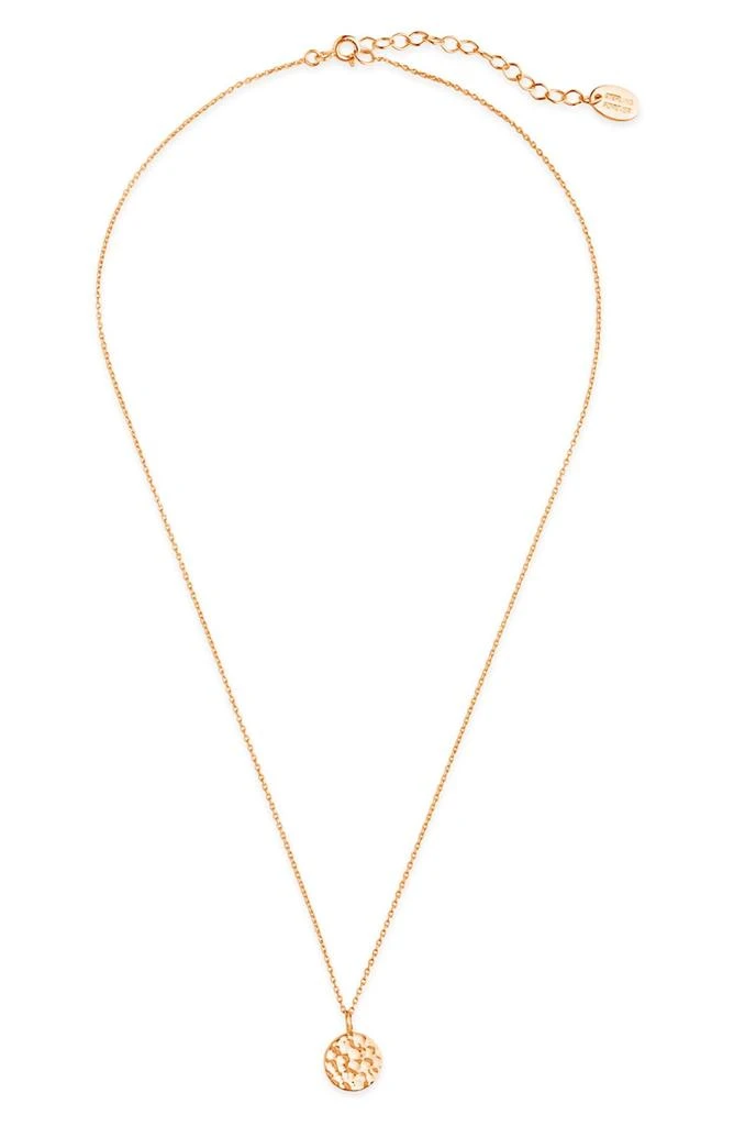 Sterling Forever 14K Yellow Gold Vermeil Hammered Pendant Necklace 4