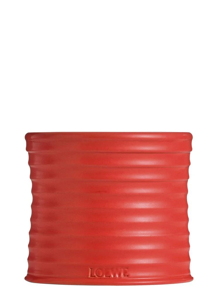 Loewe Tomato Leaves Candle - Medium 610g 6