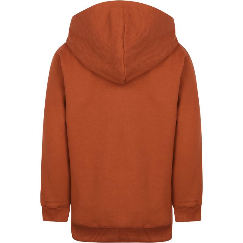 NAME IT® Fun puppy hooded sweater in orange brown
