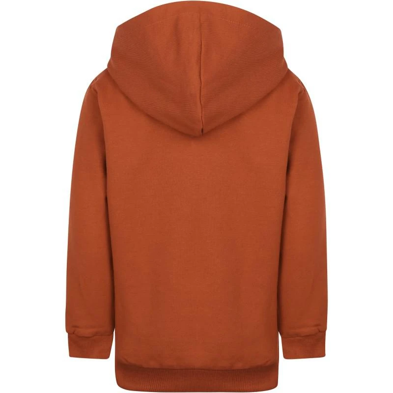 NAME IT® Fun puppy hooded sweater in orange brown 2