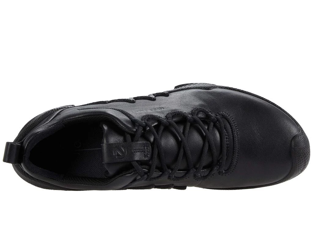 ECCO BIOM AEX LX 2