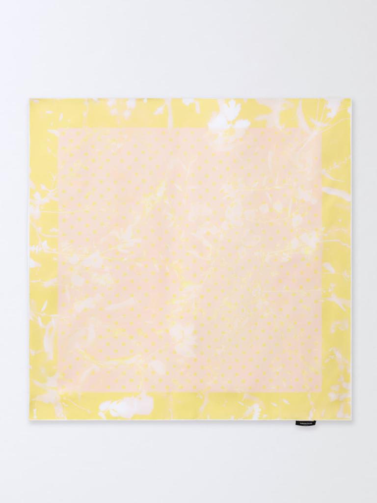 Fabiana Filippi Fabiana Filippi Scarf With Micro Sequins