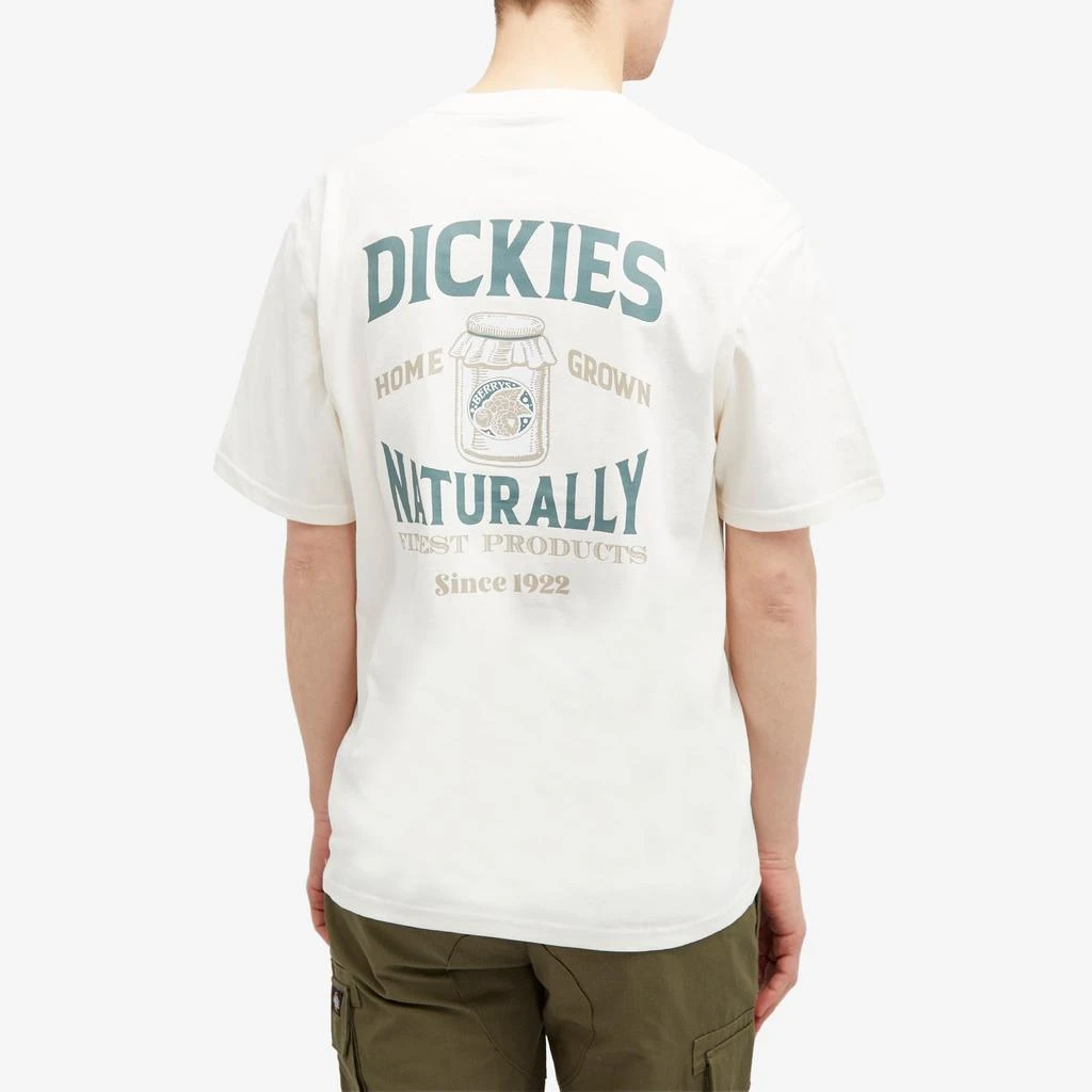 DICKIES Dickies Elliston T-Shirt 3
