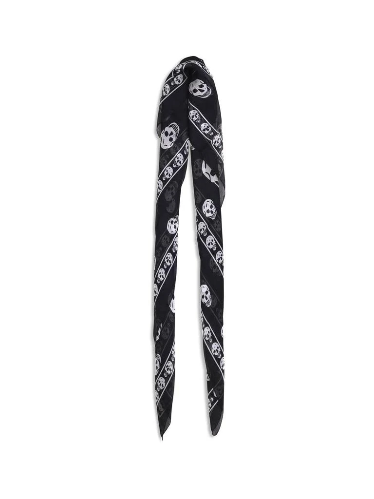 Alexander McQueen Alexander McQueen Scarves 2