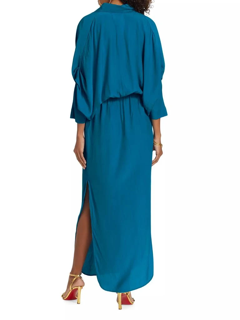 SWF Artista Plunge Wrap Maxi Dress 5