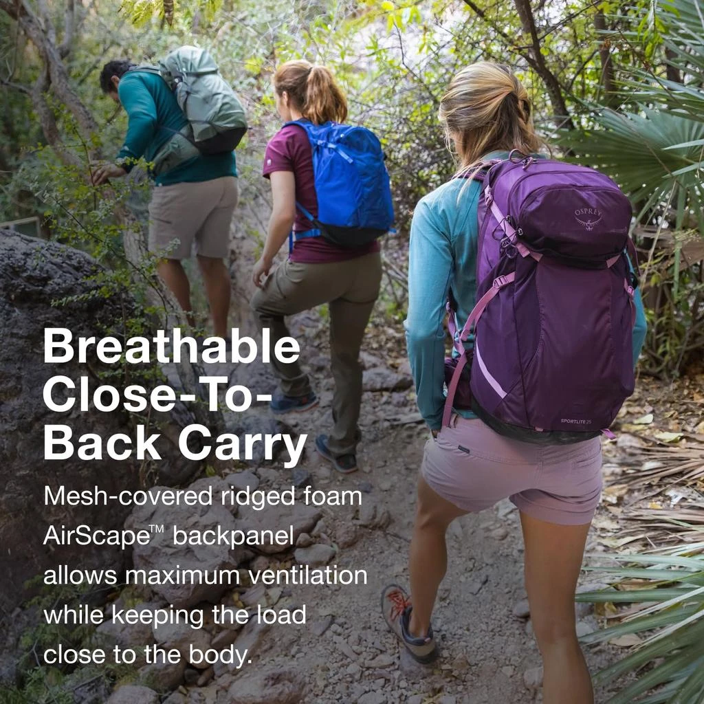 Osprey Osprey Sportlite 25L Lightweight Hiking Backpack for Men and Women, Pine Leaf Green, S/M 4