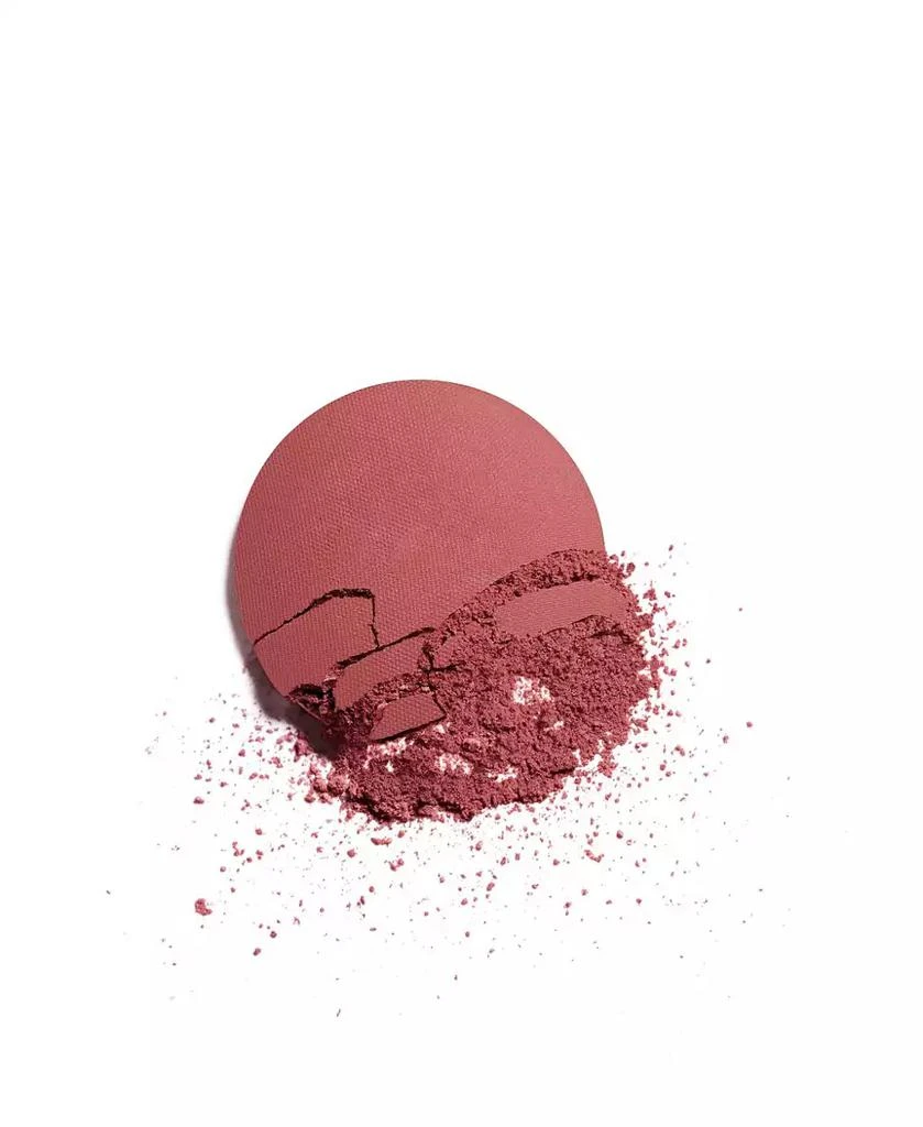 Chanel Powder Blush 2