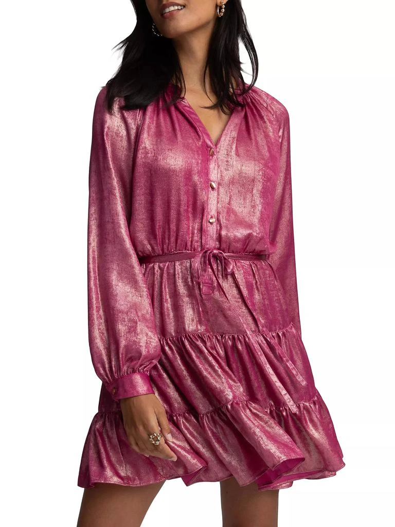 Robert Graham Sydney Metallic Tiered Minidress 7