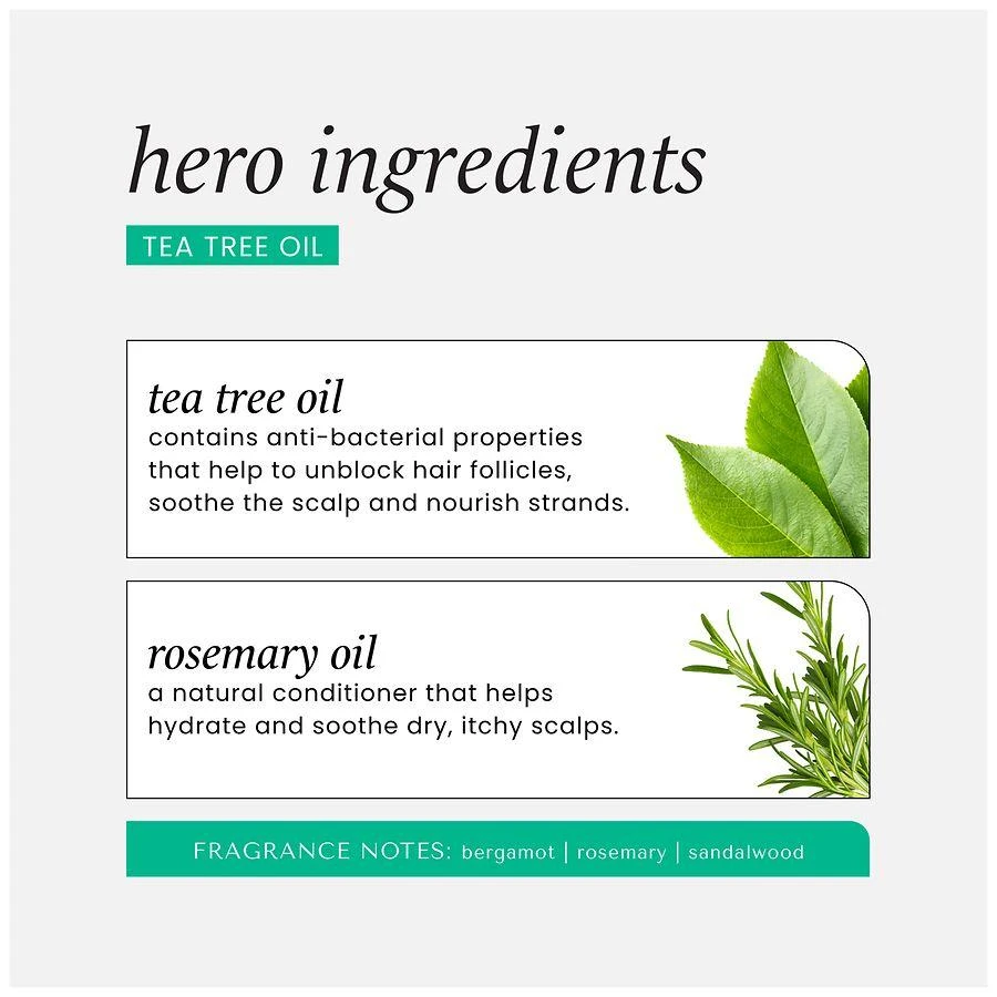Hask Tea Tree Oil & Rosemary Hair & Scalp Treatment Mask 4