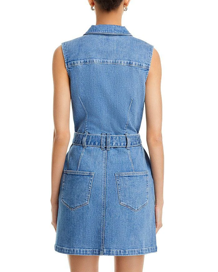 Paige Kelsee Self Tie Mini Dress 4