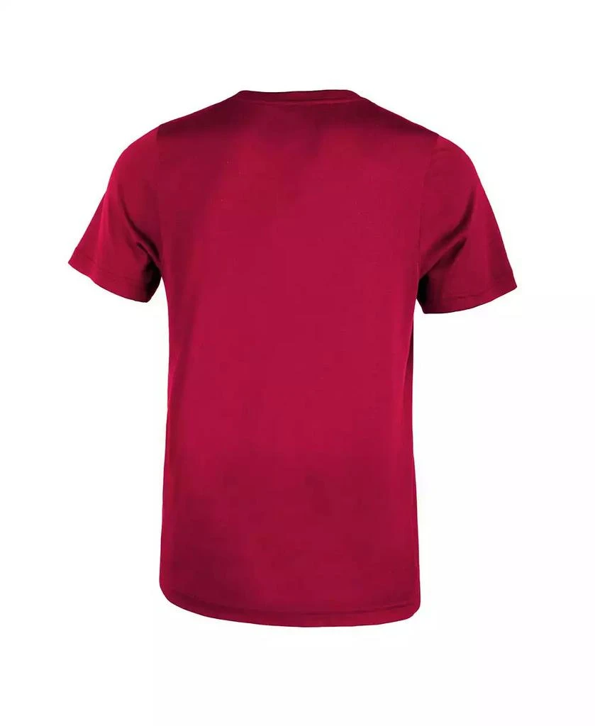 NIKE Preschool Boys and Girls Cardinal Arkansas Razorbacks 2023 Sideline Legend Performance T-shirt 4