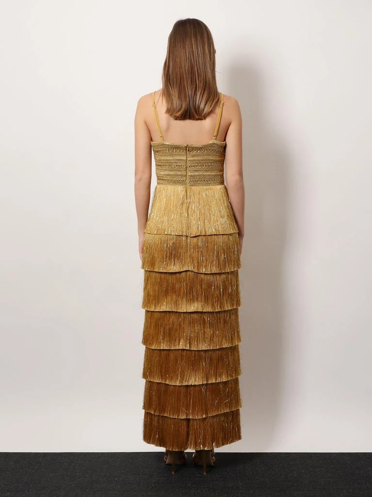 PatBO Long dress with embroidered courset and fringes 3