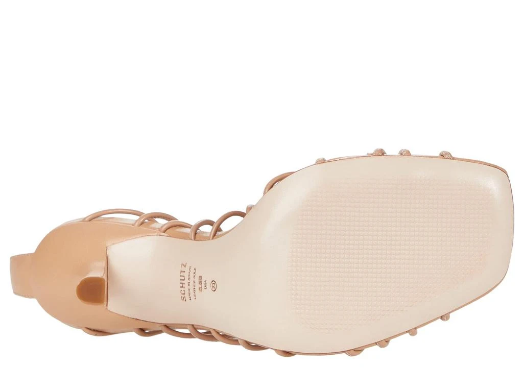 Schutz Heyde 3