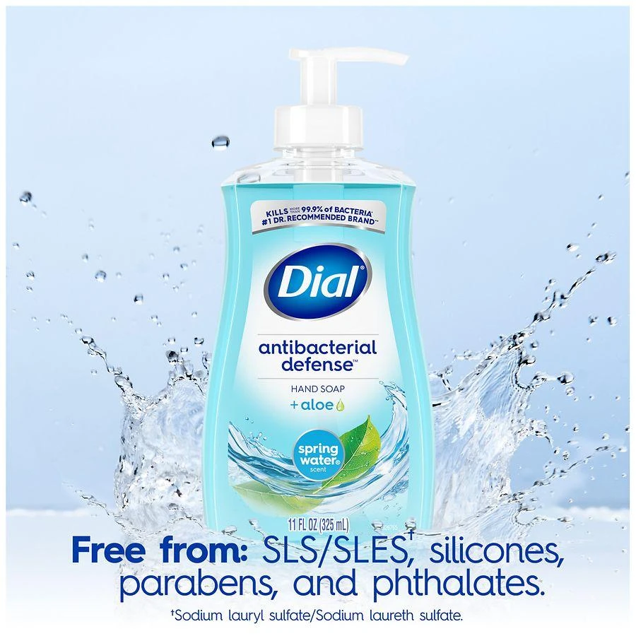 Dial Complete Antibacterial Liquid Hand Soap Spring Water 6