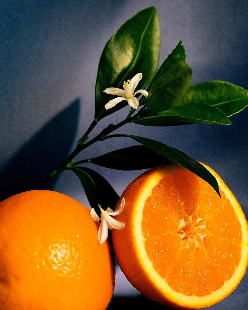 Loewe Loewe Orange Blossom Candle, 20.7 oz. 3