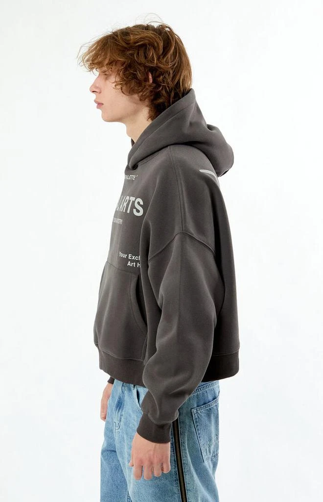 PacSun Regal Arts Cropped Hoodie 3