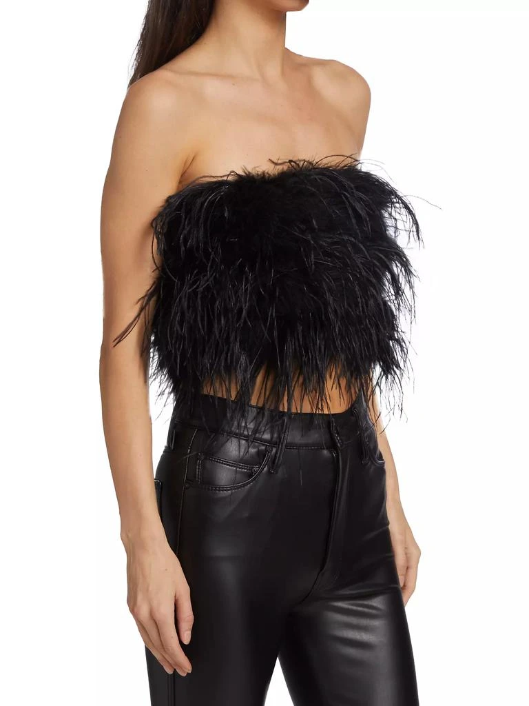 LaMarque Zaina Feather Bustier Top 4