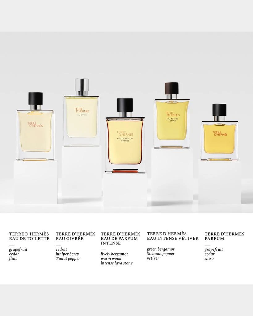 Hermes Terre d'Hermes Eau de Parfum Intense, 1.7 oz. 5