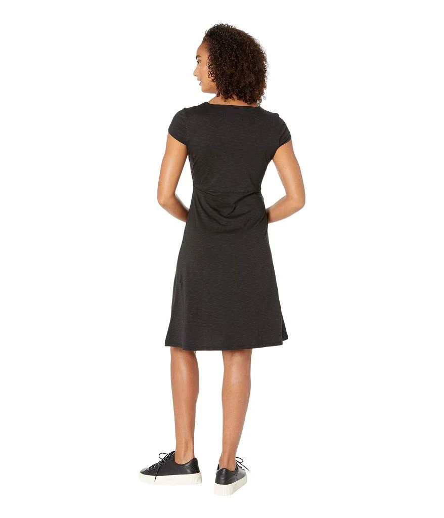 Toad & Co Rosemarie Dress 3