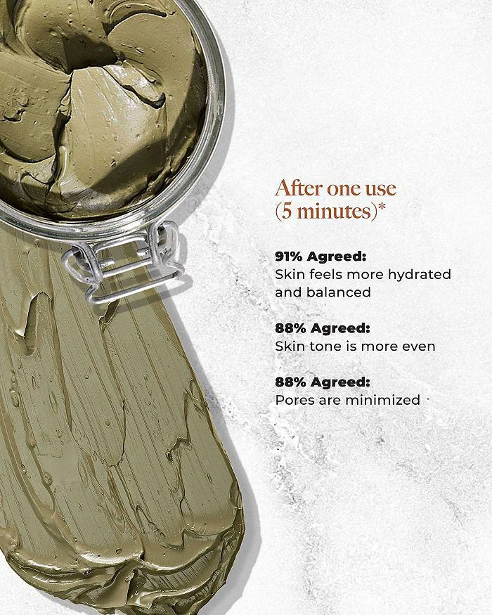 Borghese Advanced Fango Active Mud Mask 7.5 oz. 4