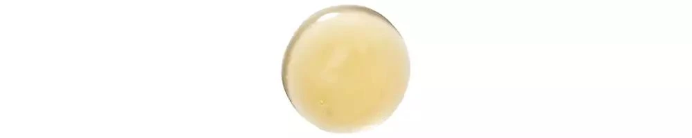 KLORANE Nourishing Shampoo With Mango 2