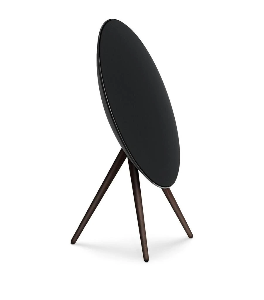 Bang & Olufsen Beosound A9 5th Generation Speaker 4