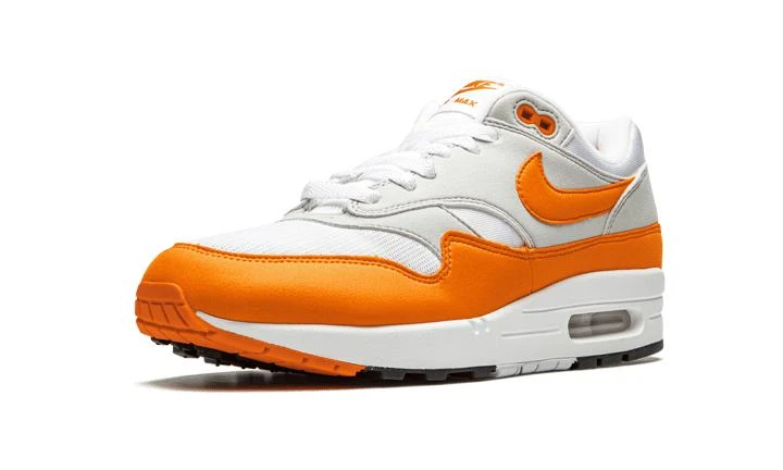 NIKE Nike Air Max 1 Anniversary 5