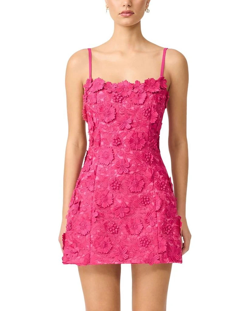 Elliatt Claudia Party Dress 1