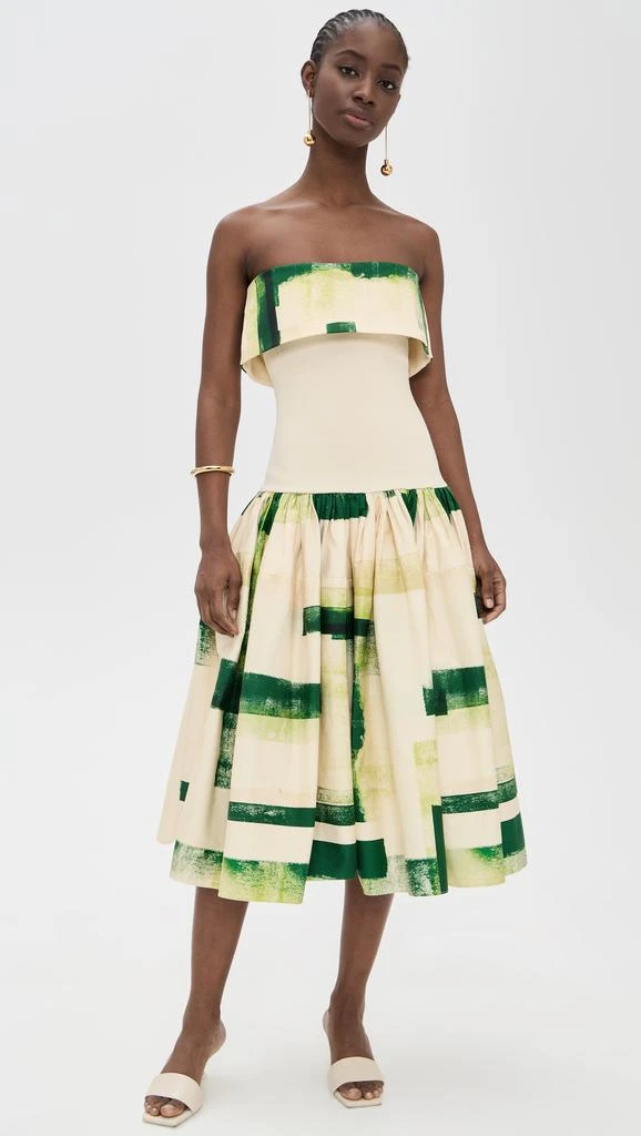 Alexis Robia Dress 1