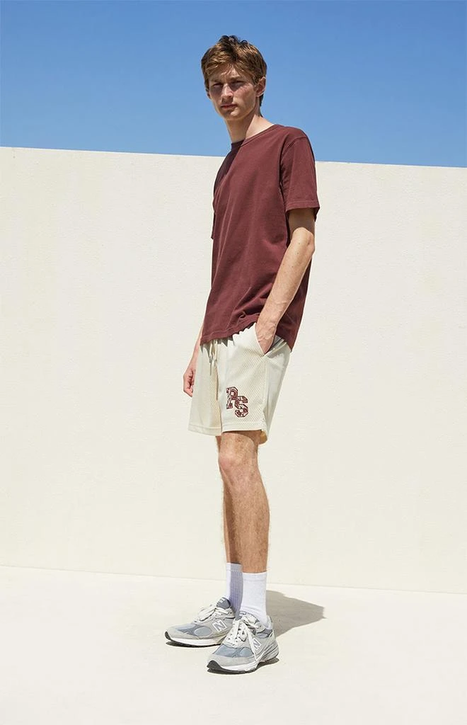 PacSun Patch Mesh Shorts 2