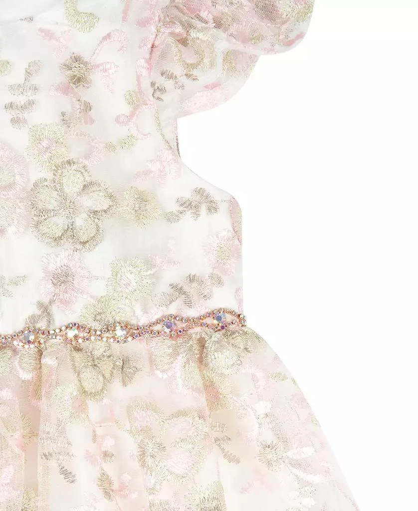 Rare Editions Baby Girls Floral Embroidered Mesh Party Dress 3