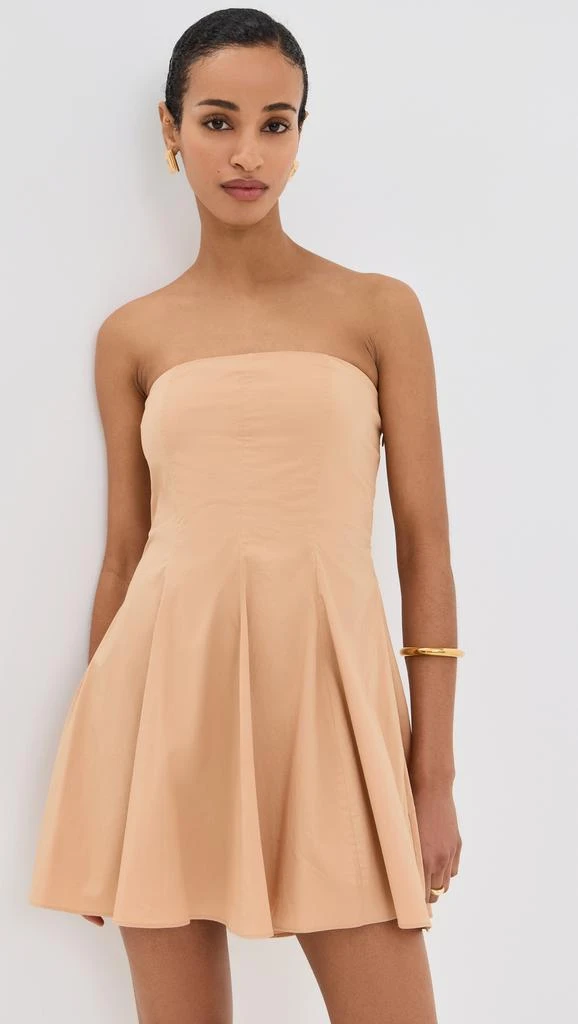 Azeeza Sable Mini Dress 1