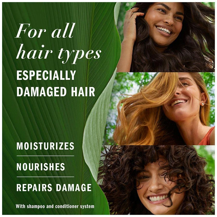 Herbal Essences Hair Repair Shampoo Argan Oil 5