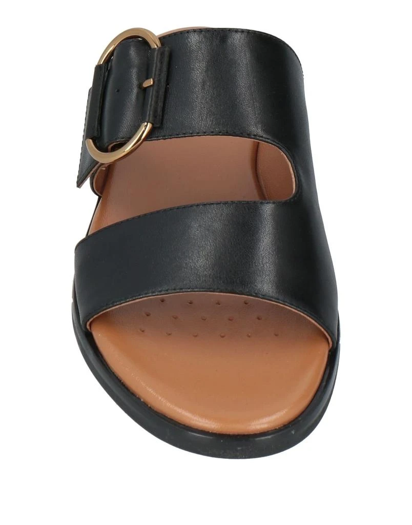 Geox Sandals 4