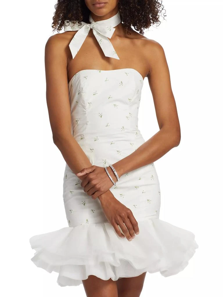 The Bar Blake Embroidered Flare Minidress 3