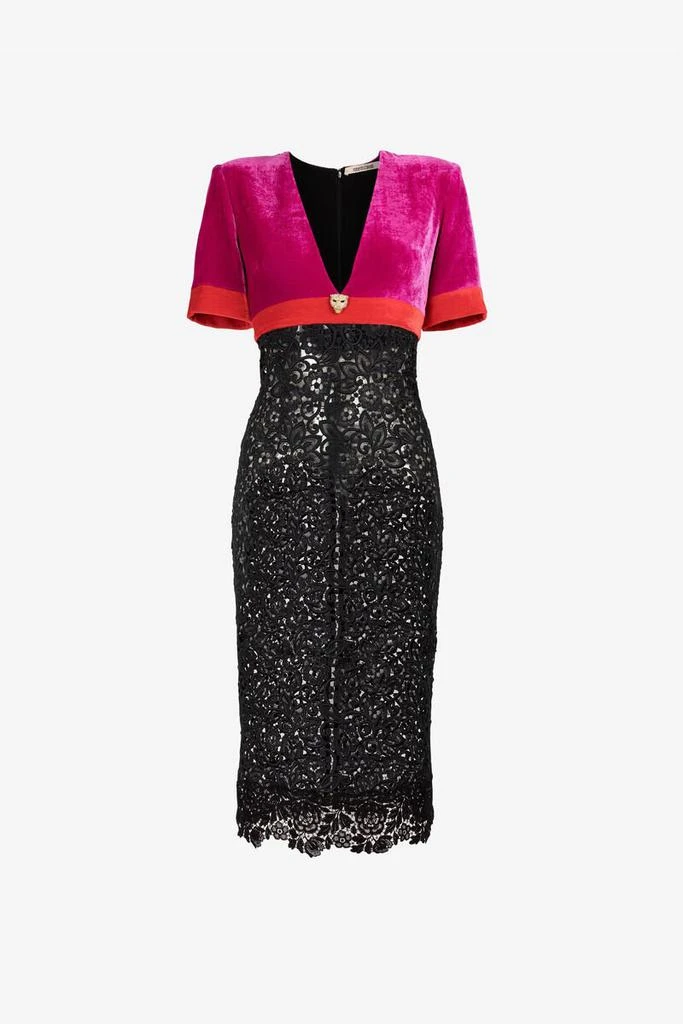 Roberto Cavalli Velvet And Lace Dress - Female Dresses Purple Roberto Cavalli Velvet And Lace Dress - Female Dresses Purple