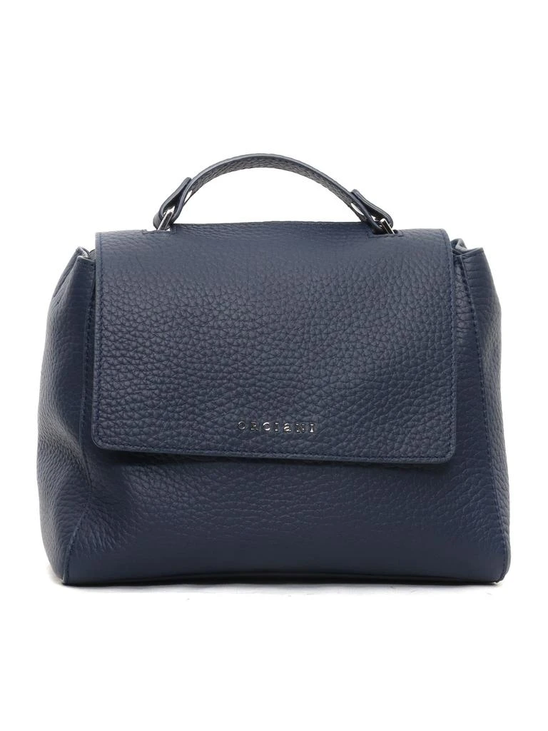 ORCIANI Bag 1
