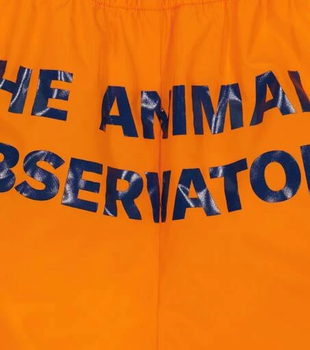 The Animals Observatory Puppy swim trunks 3