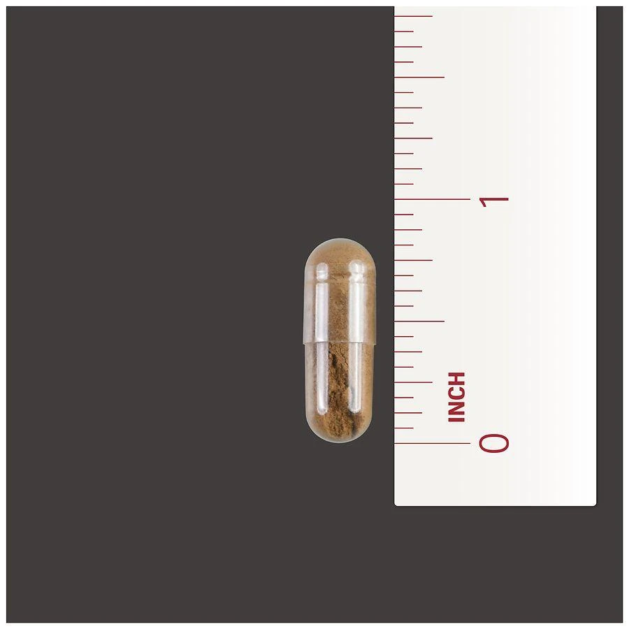 Walgreens Cinnamon 1000 mg Capsules 5