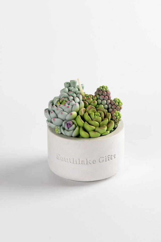 Southlake Gifts Southlake Gifts Assorted Succulent Candle 4