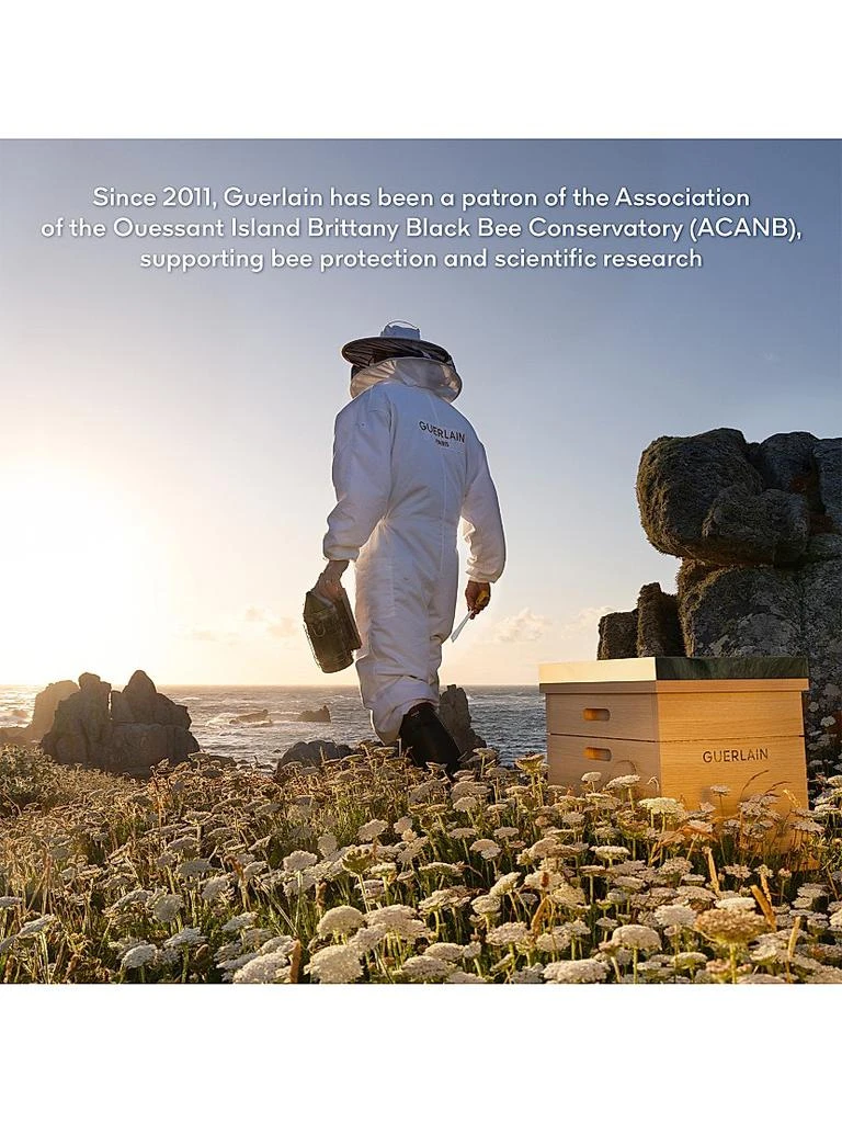 Guerlain Abeille Royale Repair 4-Piece Skincare Set - $388 Value 8