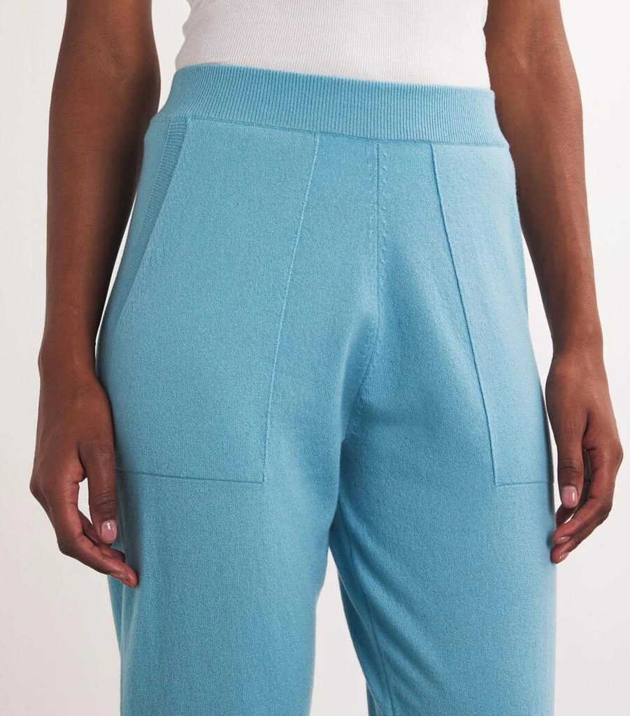 CO Cashmere Cuffed Sweatpants 6