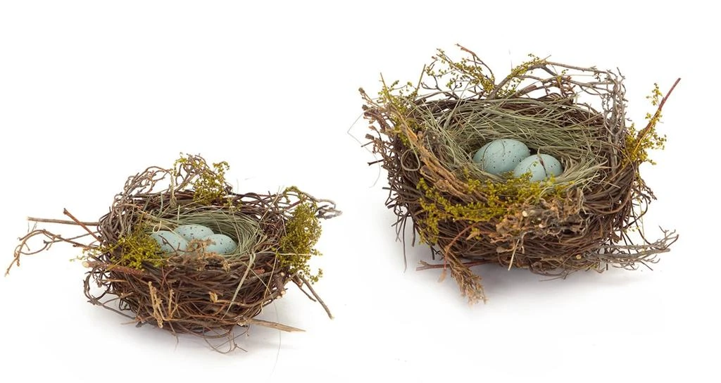 Hivvago Birds Nest with Eggs (Set of 12) 2