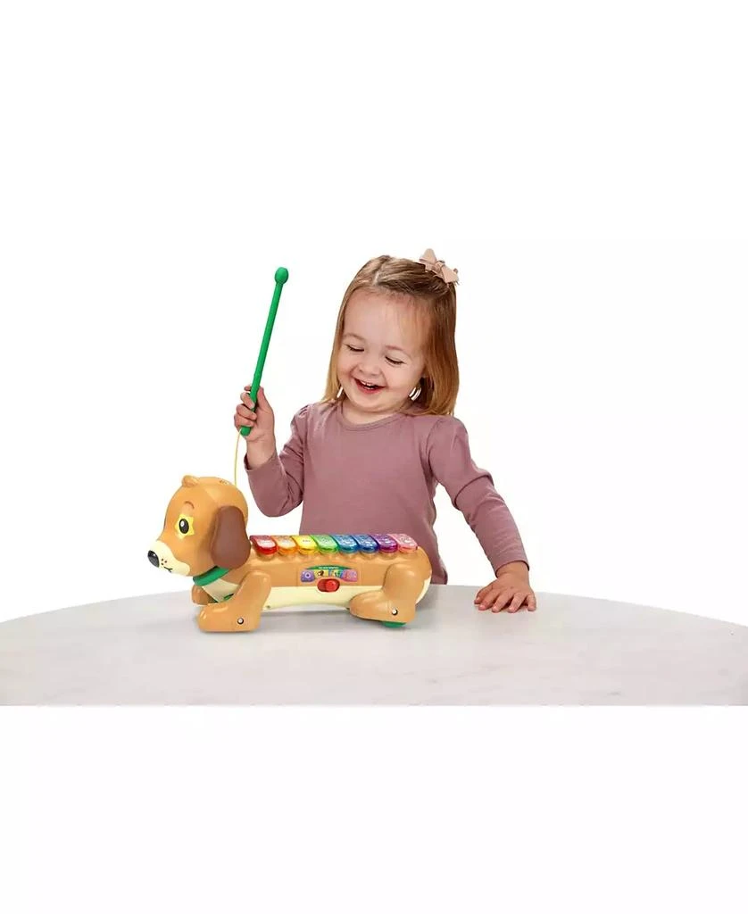 VTech Zoo Jamz Doggy Xylophone 4