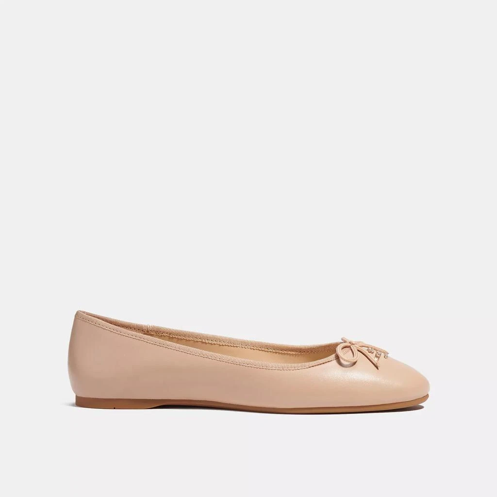 Coach Alina Ballet 5